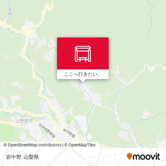 岩中野地図