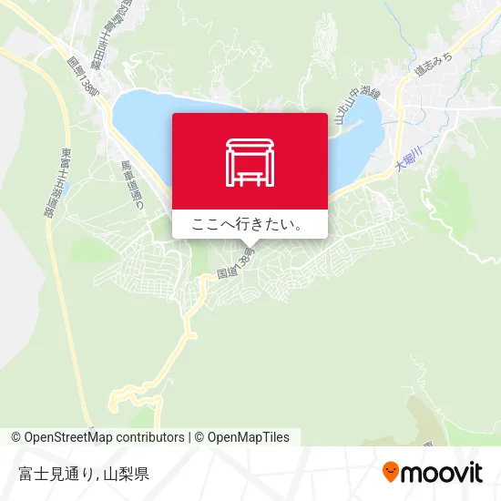 富士見通り地図