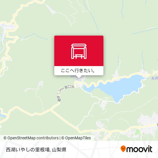 西湖いやしの里根場地図