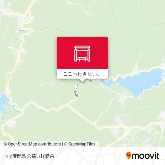 西湖野鳥の森地図