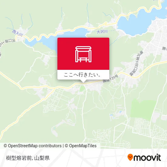 樹型熔岩前地図