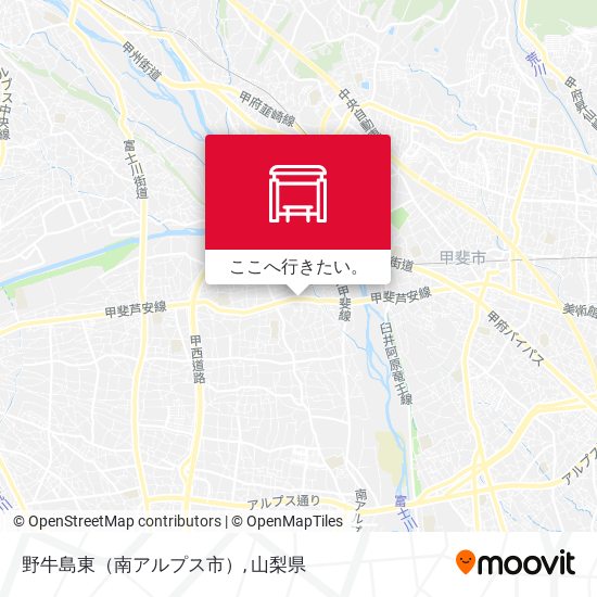 野牛島東（南アルプス市）地図