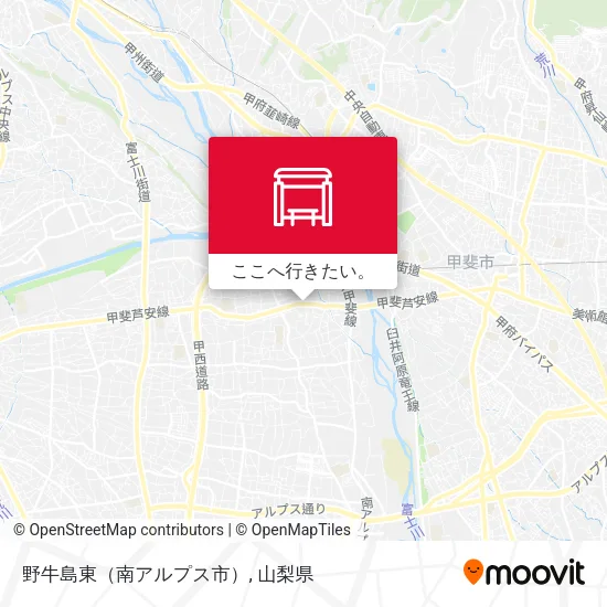 野牛島東（南アルプス市）地図