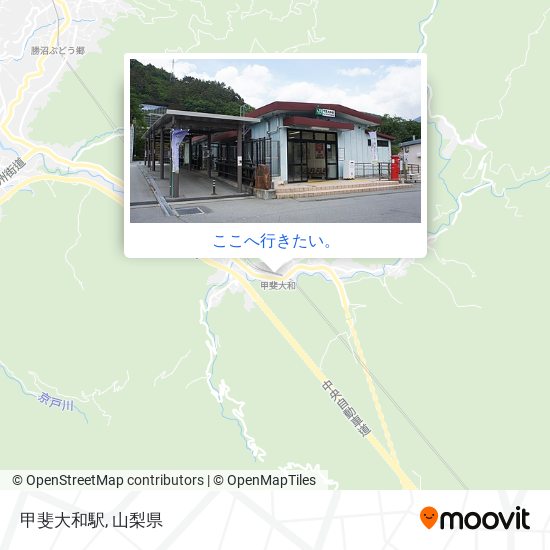 甲斐大和駅地図