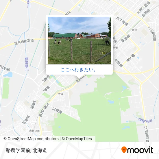酪農学園前地図