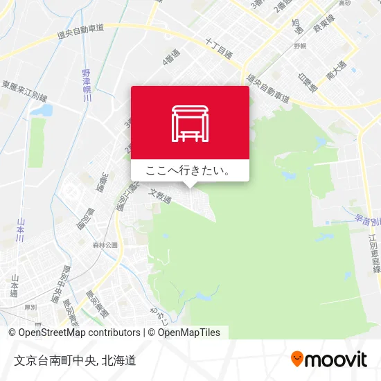 文京台南町中央地図