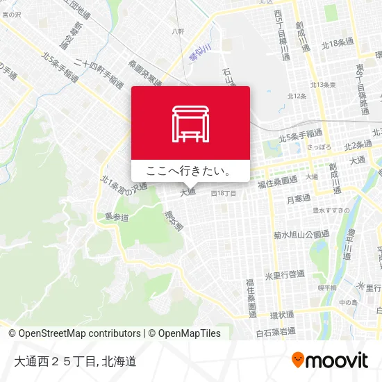 大通西２５丁目地図