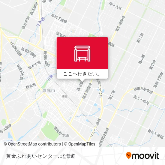 黄金ふれあいセンター地図