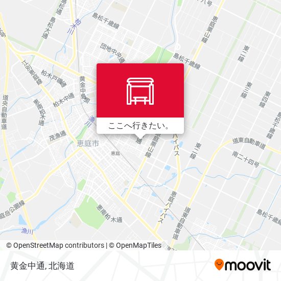 黄金中通地図