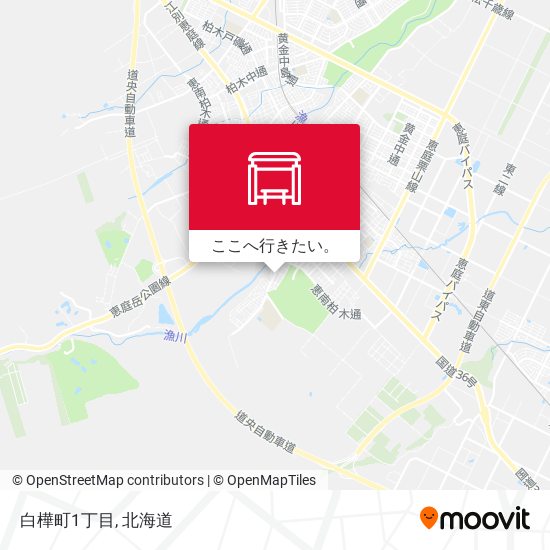 白樺町1丁目地図