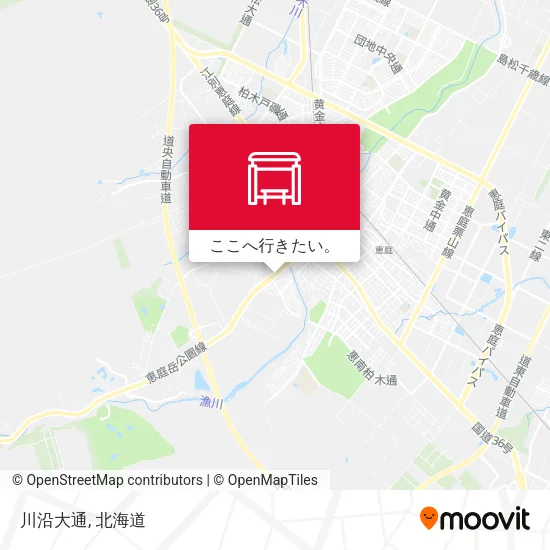 川沿大通地図