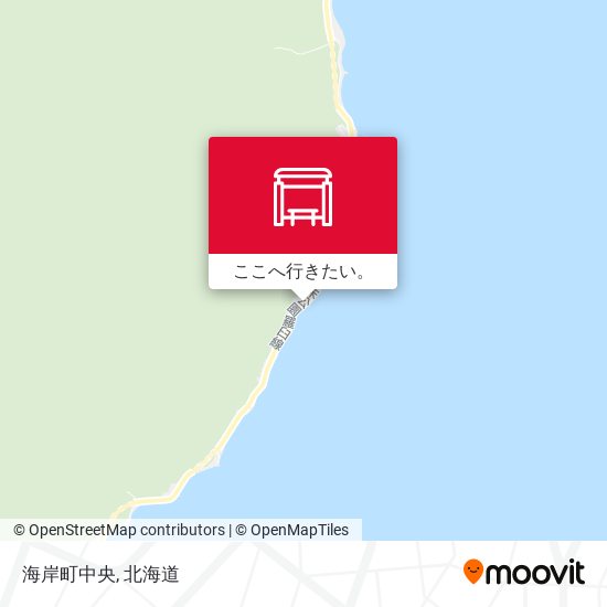 海岸町中央地図