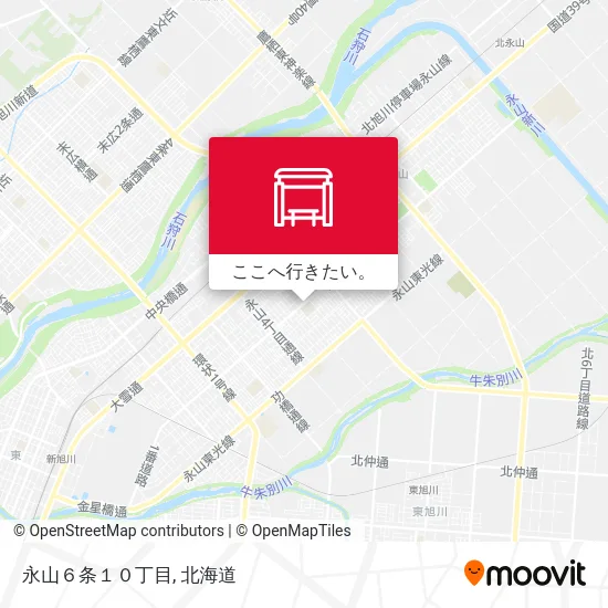 永山６条１０丁目地図