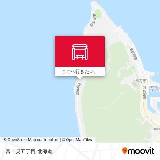 富士見五丁目地図