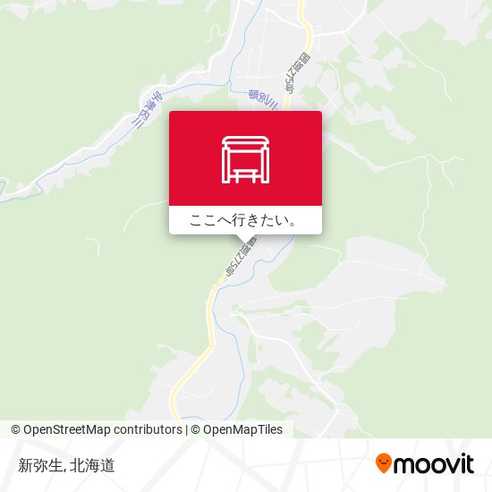 新弥生地図