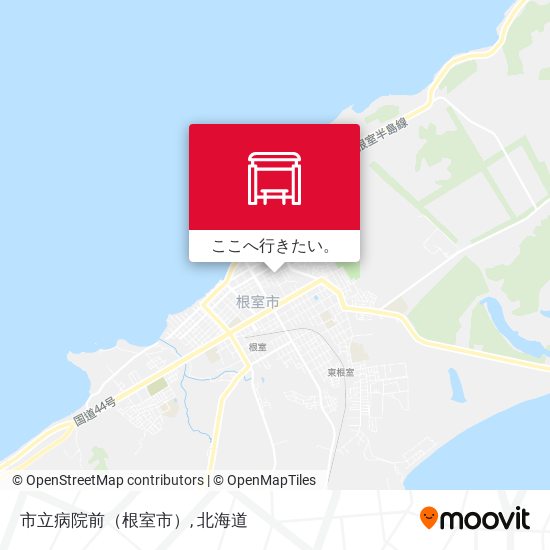 市立病院前（根室市）地図