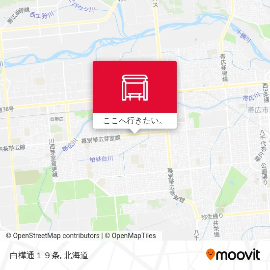 白樺通１９条地図