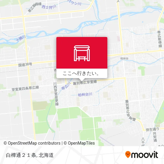 白樺通２１条地図