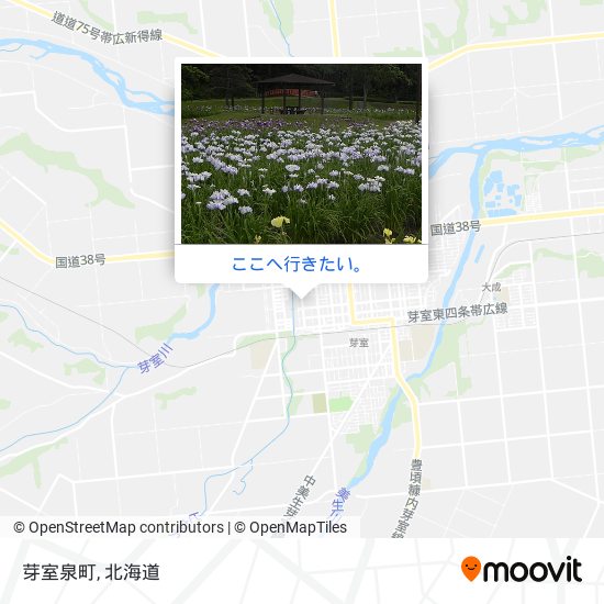 芽室泉町地図