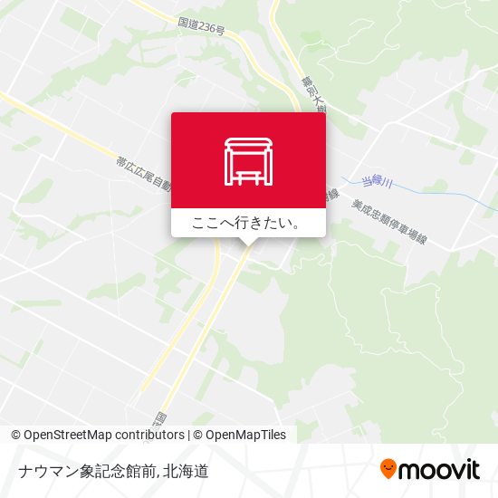 ナウマン象記念館前地図