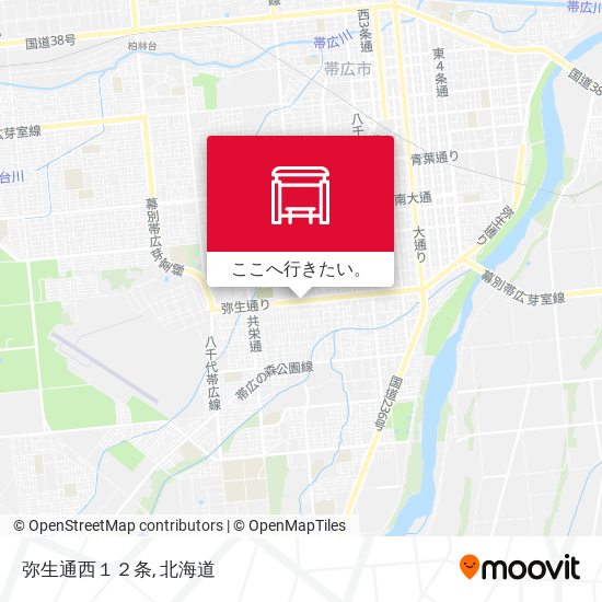 弥生通西１２条地図