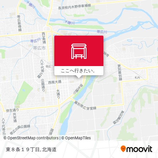 東８条１９丁目地図