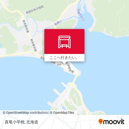 真竜小学校地図