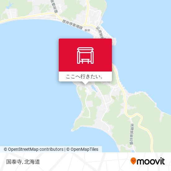 国泰寺地図