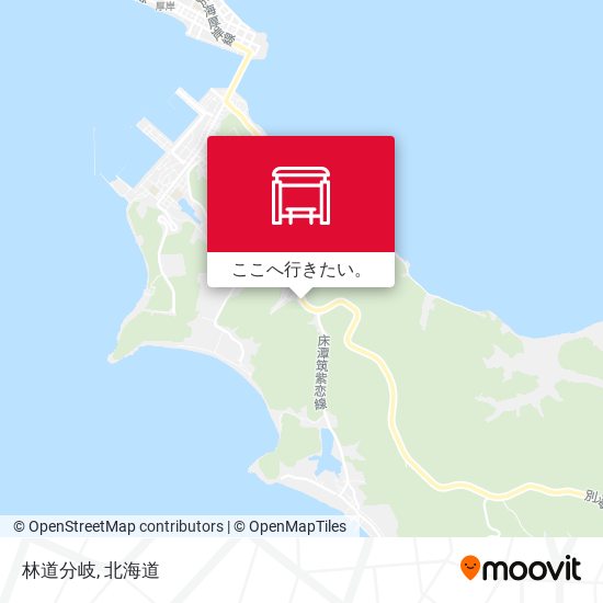 林道分岐地図