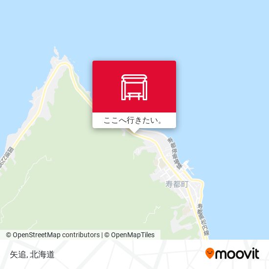 矢追地図