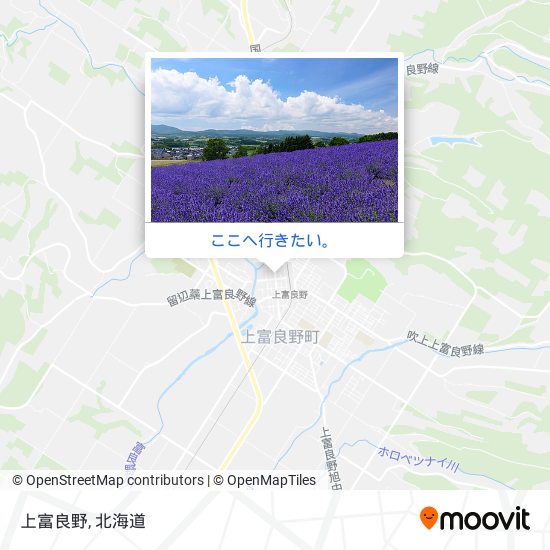 上富良野地図