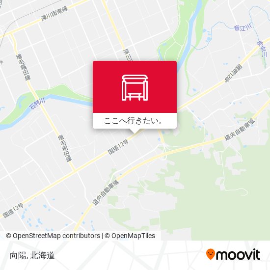 向陽地図