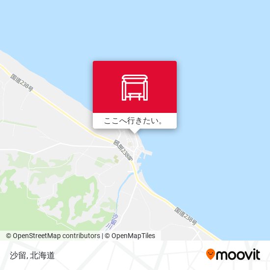 沙留地図