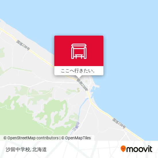 沙留中学校地図