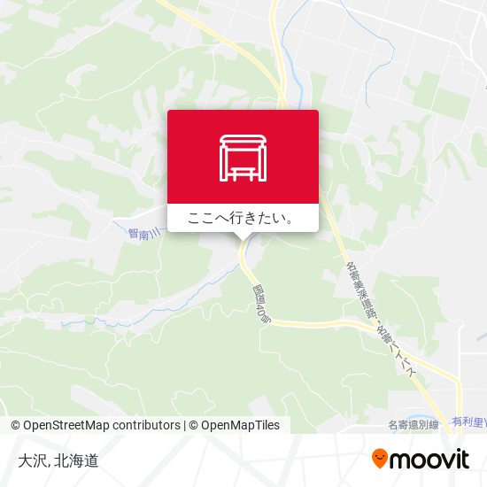 大沢地図