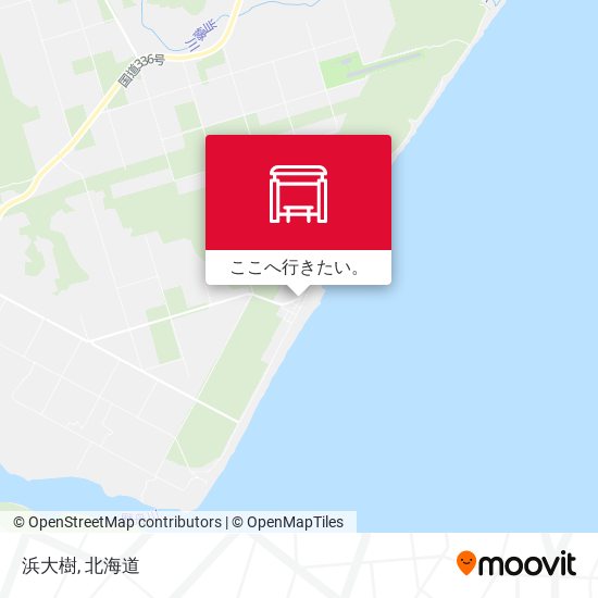 浜大樹地図