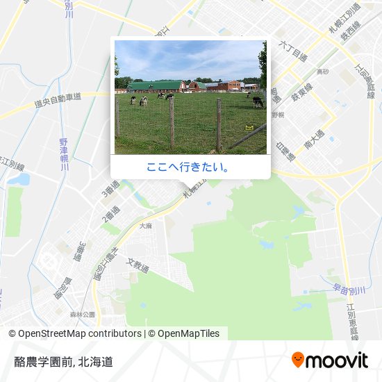 酪農学園前地図