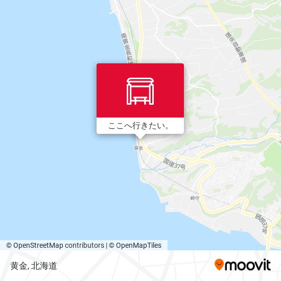 黄金地図