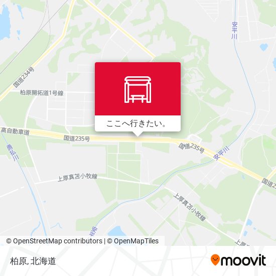 柏原地図