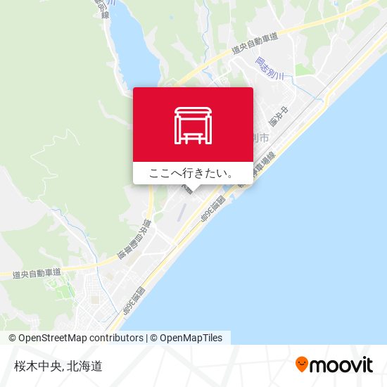 桜木中央地図