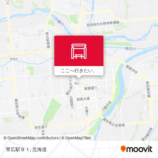 帯広駅Ｂｔ地図