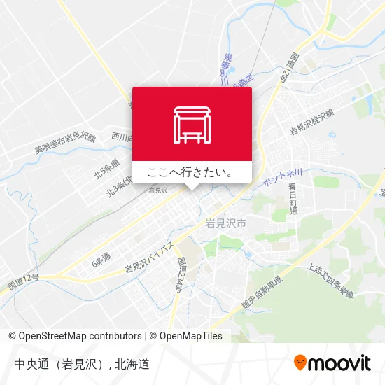 中央通（岩見沢）地図