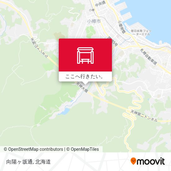 向陽ヶ坂通地図