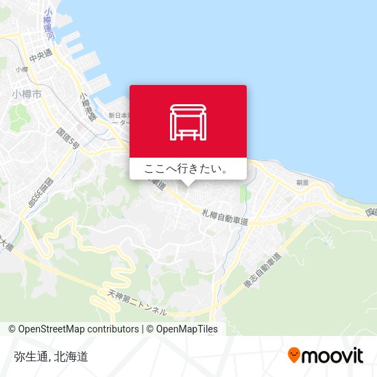 弥生通地図