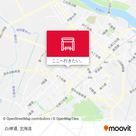 白樺通地図