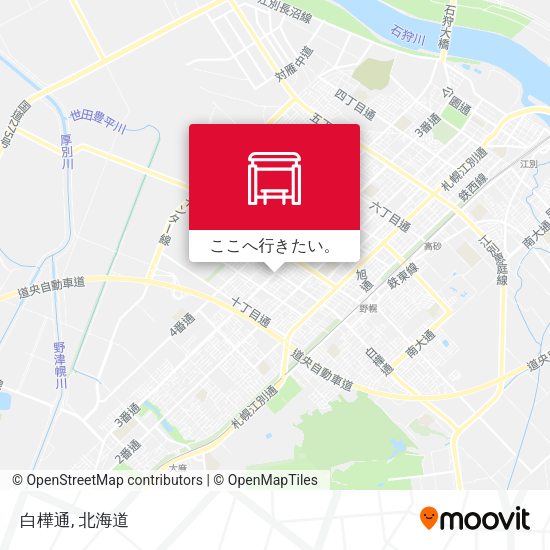 白樺通地図