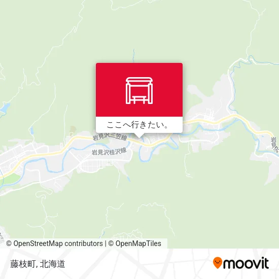 藤枝町地図
