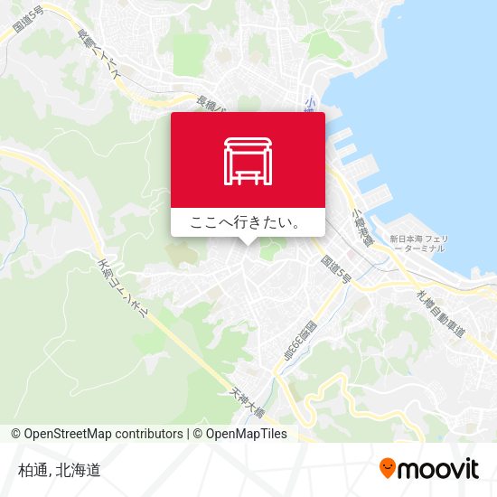 柏通地図