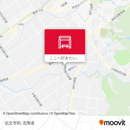 志文市街地図