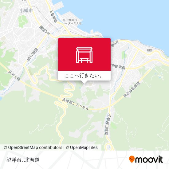 望洋台地図
